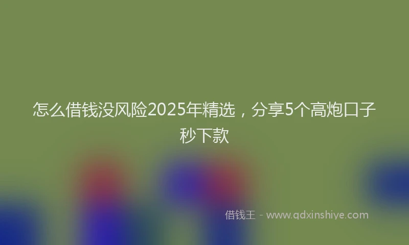 怎么借钱没风险2025年精选，分享5个高炮口子秒下款