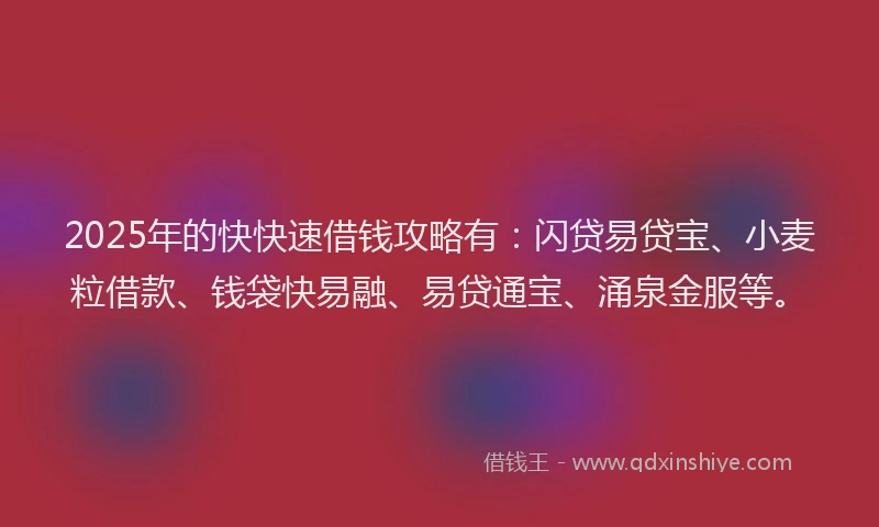 2025年的快快速借钱攻略有：闪贷易贷宝、小麦粒借款、钱袋快易融、易贷通宝、涌泉金服等。
