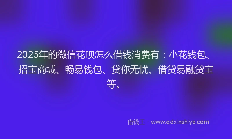 2025年的微信花呗怎么借钱消费有：小花钱包、招宝商城、畅易钱包、贷你无忧、借贷易融贷宝等。