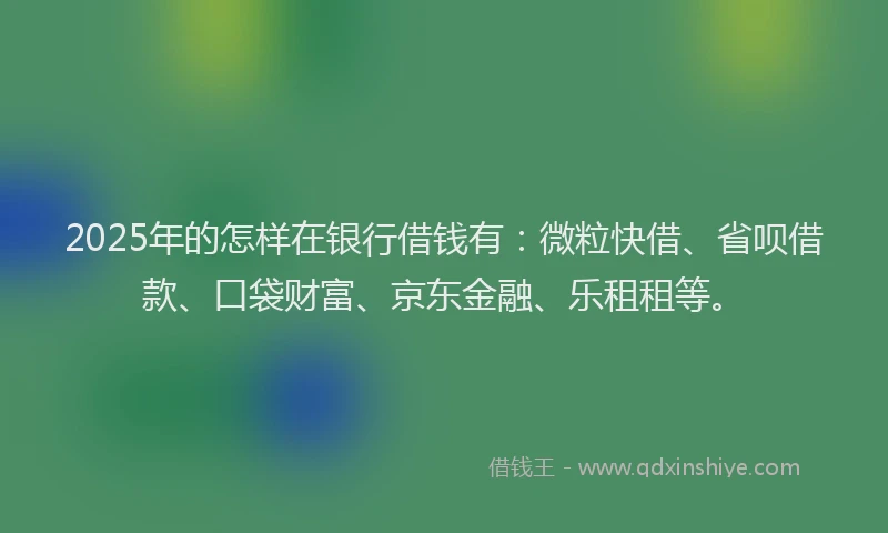 2025年的怎样在银行借钱有：微粒快借、省呗借款、口袋财富、京东金融、乐租租等。