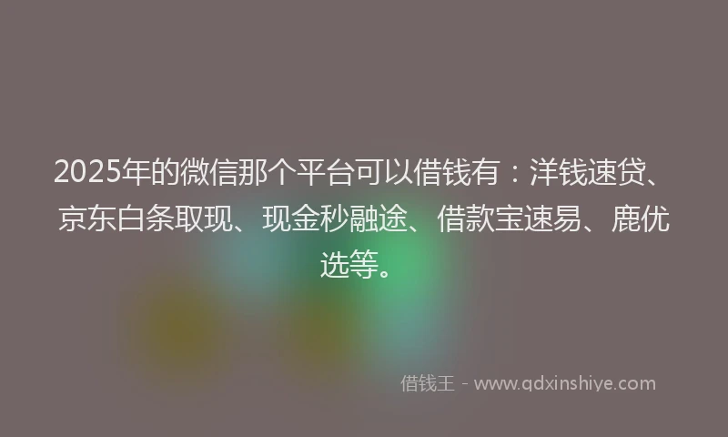 2025年的微信那个平台可以借钱有：洋钱速贷、京东白条取现、现金秒融途、借款宝速易、鹿优选等。