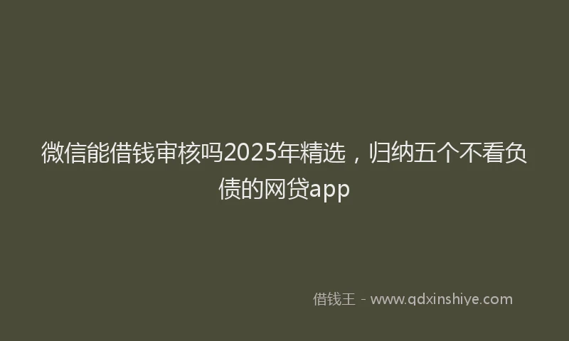 微信能借钱审核吗2025年精选，归纳五个不看负债的网贷app