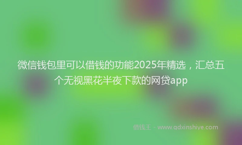 微信钱包里可以借钱的功能2025年精选，汇总五个无视黑花半夜下款的网贷app
