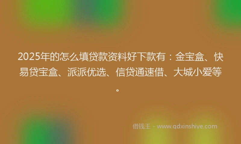 2025年的怎么填贷款资料好下款有：金宝盒、快易贷宝盒、派派优选、信贷通速借、大城小爱等。