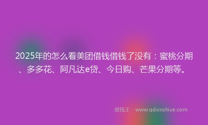 2025年的怎么看美团借钱借钱了没有：蜜桃分期、多多花、阿凡达e贷、今日购、芒果分期等。