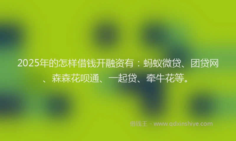 2025年的怎样借钱开融资有：蚂蚁微贷、团贷网、森森花呗通、一起贷、牵牛花等。