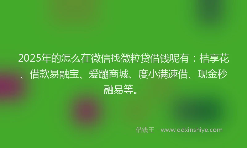 2025年的怎么在微信找微粒贷借钱呢有：桔享花、借款易融宝、爱蹦商城、度小满速借、现金秒融易等。