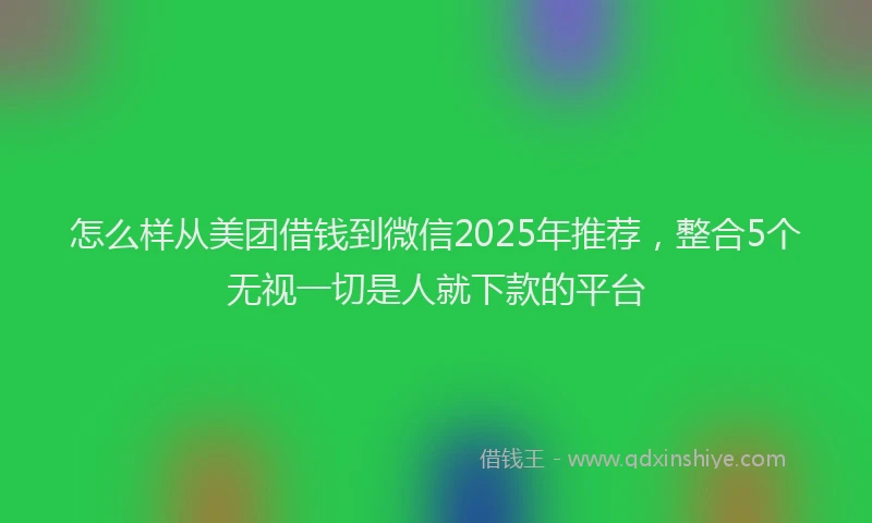 怎么样从美团借钱到微信2025年推荐，整合5个无视一切是人就下款的平台