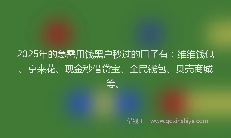 2025年的急需用钱黑户秒过的口子有：维维钱包、享来花、现金秒借贷宝、全民钱包、贝壳商城等。