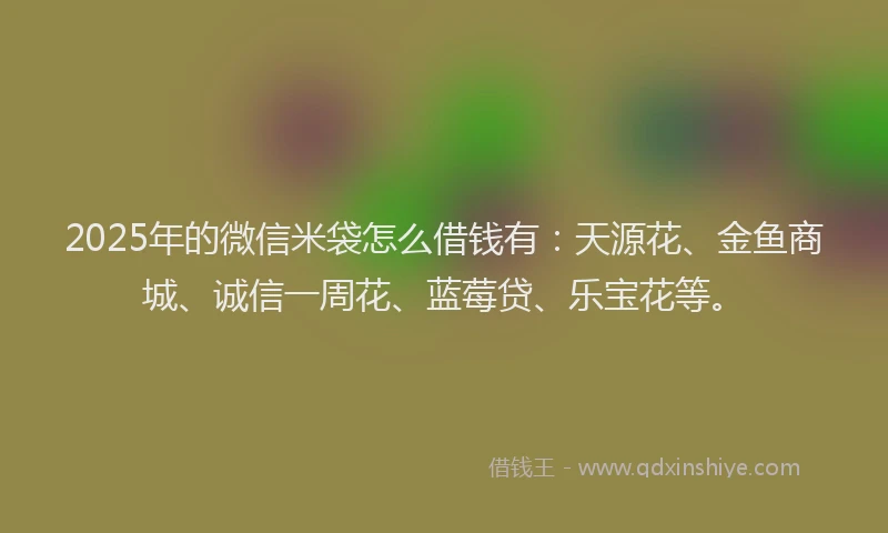 2025年的微信米袋怎么借钱有：天源花、金鱼商城、诚信一周花、蓝莓贷、乐宝花等。