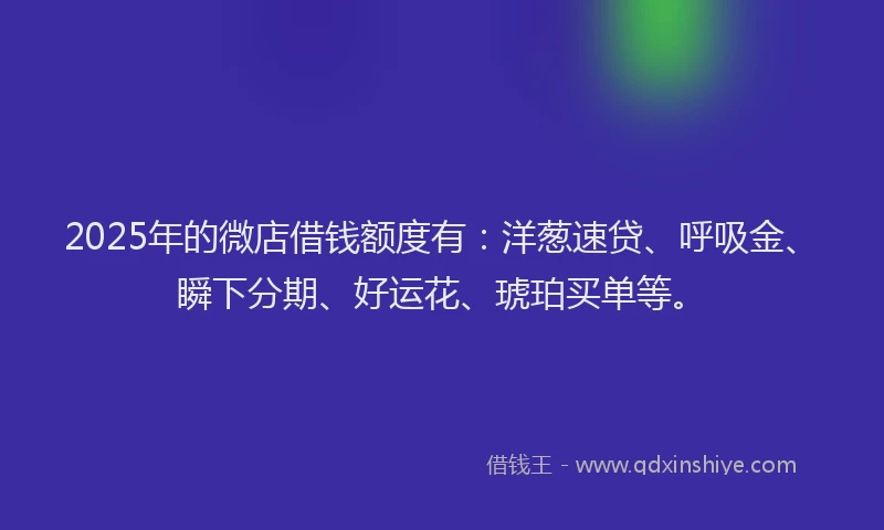 2025年的微店借钱额度有：洋葱速贷、呼吸金、瞬下分期、好运花、琥珀买单等。