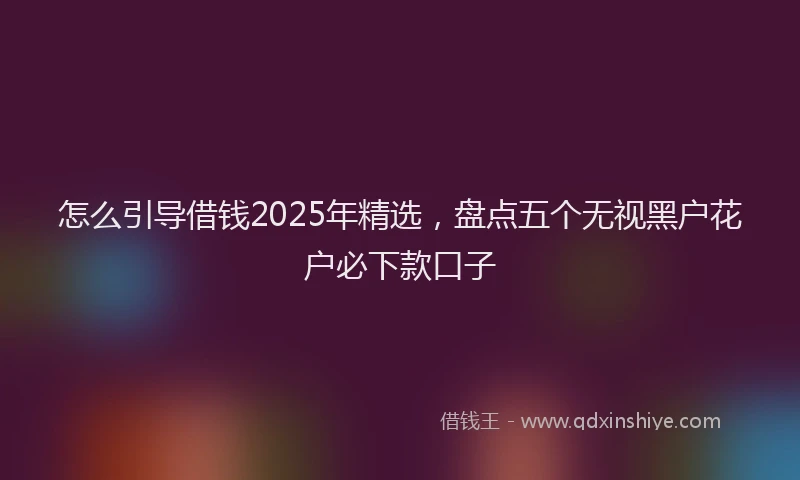 怎么引导借钱2025年精选，盘点五个无视黑户花户必下款口子