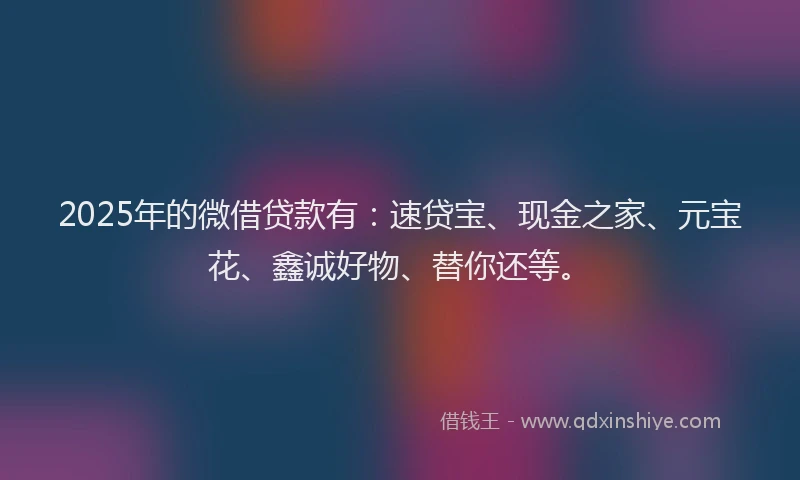 2025年的微借贷款有：速贷宝、现金之家、元宝花、鑫诚好物、替你还等。