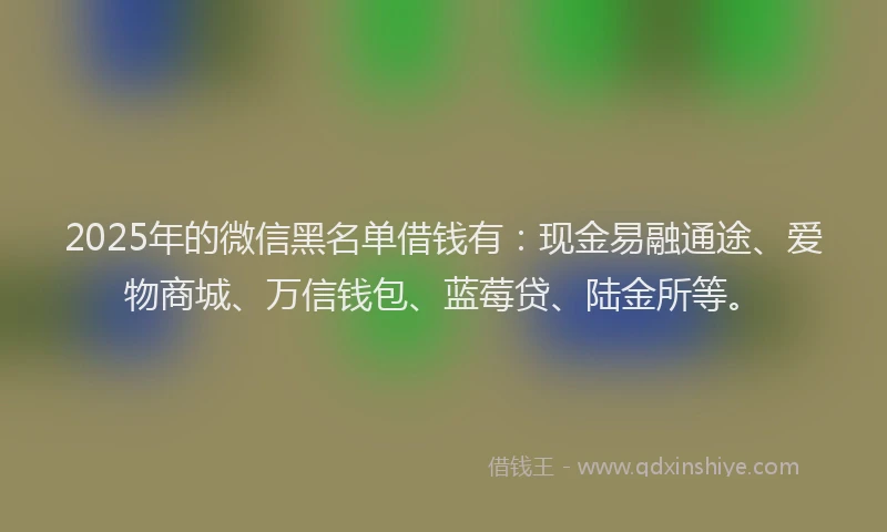 2025年的微信黑名单借钱有：现金易融通途、爱物商城、万信钱包、蓝莓贷、陆金所等。