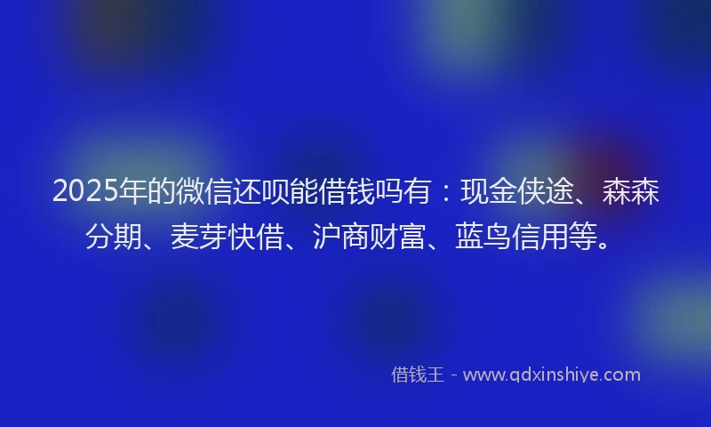 2025年的微信还呗能借钱吗有：现金侠途、森森分期、麦芽快借、沪商财富、蓝鸟信用等。