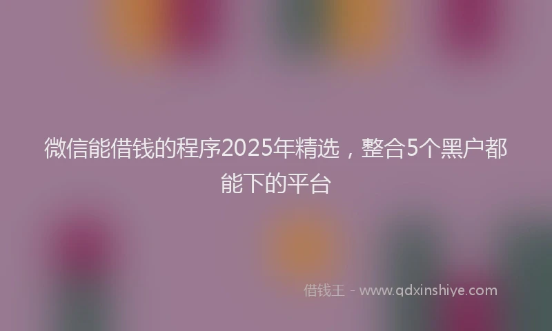 微信能借钱的程序2025年精选，整合5个黑户都能下的平台