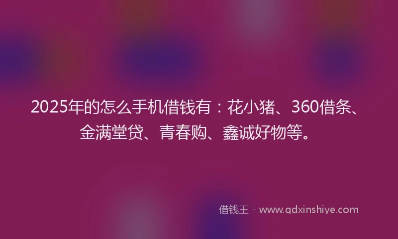2025年的怎么手机借钱有：花小猪、360借条、金满堂贷、青春购、鑫诚好物等。