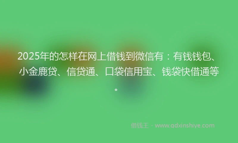 2025年的怎样在网上借钱到微信有：有钱钱包、小金鹿贷、信贷通、口袋信用宝、钱袋快借通等。