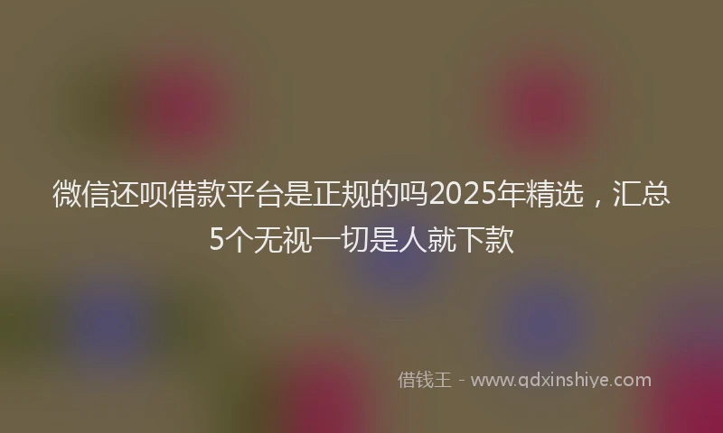 微信还呗借款平台是正规的吗2025年精选，汇总5个无视一切是人就下款