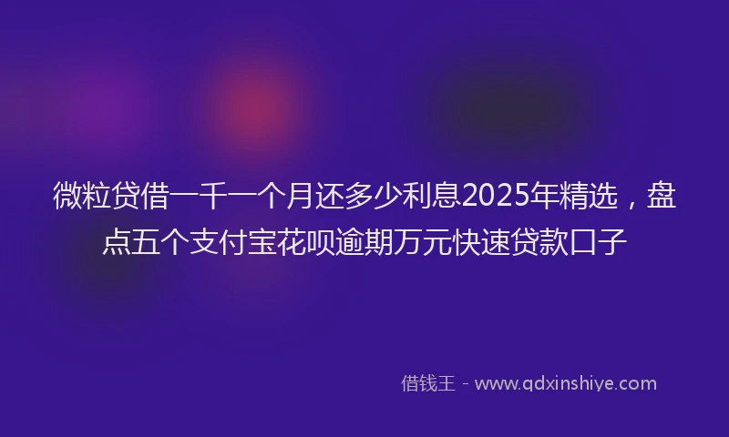 微粒贷借一千一个月还多少利息2025年精选，盘点五个支付宝花呗逾期万元快速贷款口子