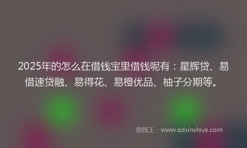 2025年的怎么在借钱宝里借钱呢有：星辉贷、易借速贷融、易得花、易橙优品、柚子分期等。