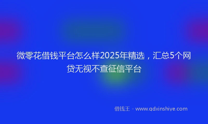 微零花借钱平台怎么样2025年精选，汇总5个网贷无视不查征信平台