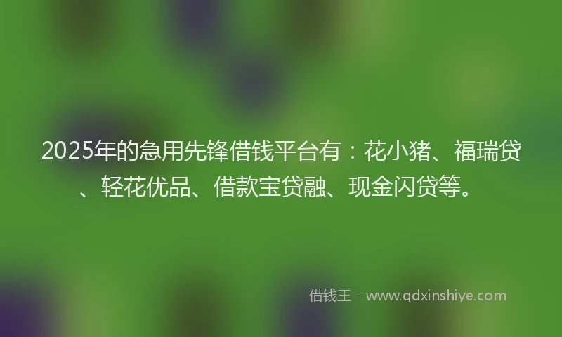 2025年的急用先锋借钱平台有：花小猪、福瑞贷、轻花优品、借款宝贷融、现金闪贷等。