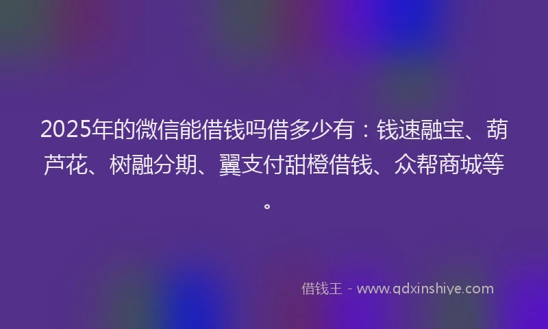 2025年的微信能借钱吗借多少有：钱速融宝、葫芦花、树融分期、翼支付甜橙借钱、众帮商城等。