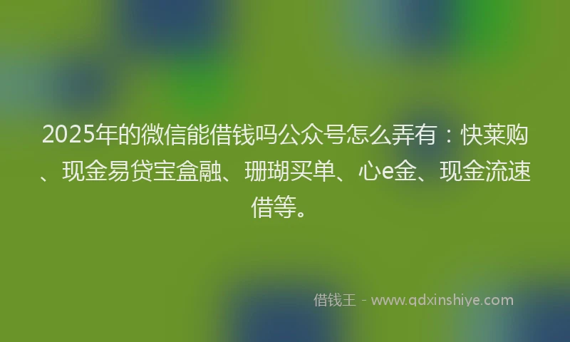 2025年的微信能借钱吗公众号怎么弄有：快莱购、现金易贷宝盒融、珊瑚买单、心e金、现金流速借等。