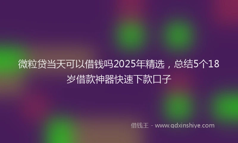 微粒贷当天可以借钱吗2025年精选，总结5个18岁借款神器快速下款口子