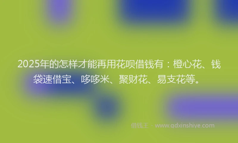 2025年的怎样才能再用花呗借钱有：橙心花、钱袋速借宝、哆哆米、聚财花、易支花等。