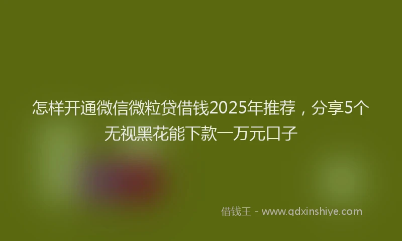 怎样开通微信微粒贷借钱2025年推荐，分享5个无视黑花能下款一万元口子