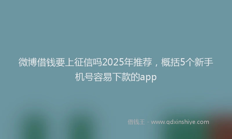 微博借钱要上征信吗2025年推荐，概括5个新手机号容易下款的app