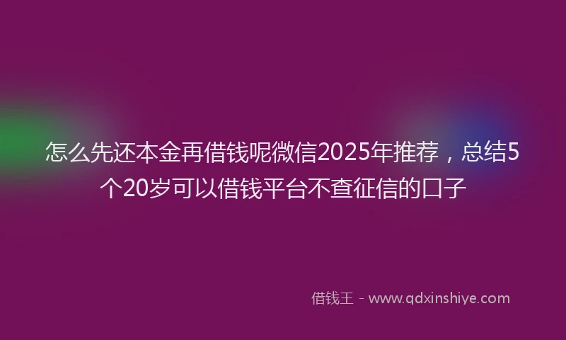 怎么先还本金再借钱呢微信2025年推荐，总结5个20岁可以借钱平台不查征信的口子