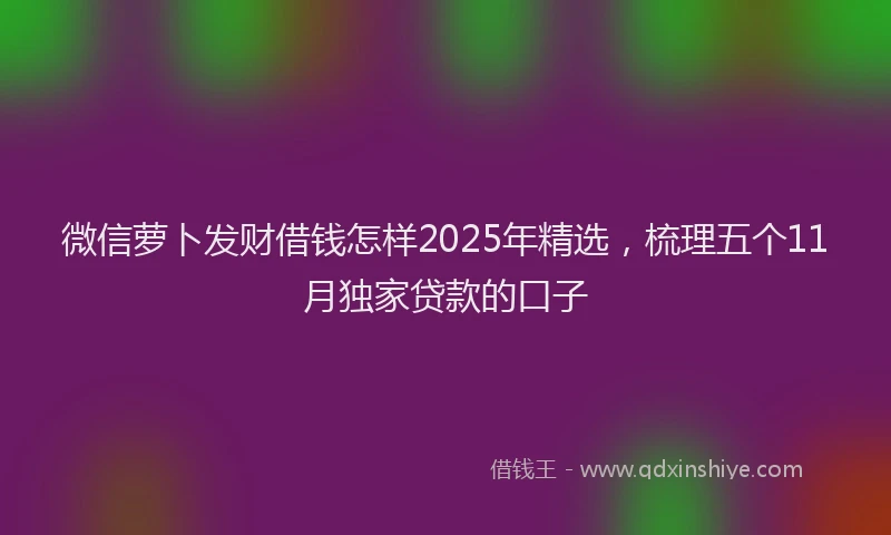 微信萝卜发财借钱怎样2025年精选，梳理五个11月独家贷款的口子