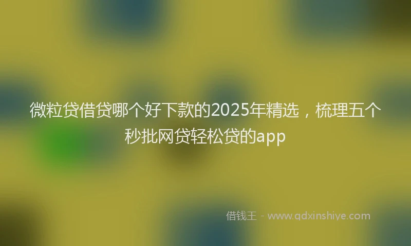 微粒贷借贷哪个好下款的2025年精选，梳理五个秒批网贷轻松贷的app