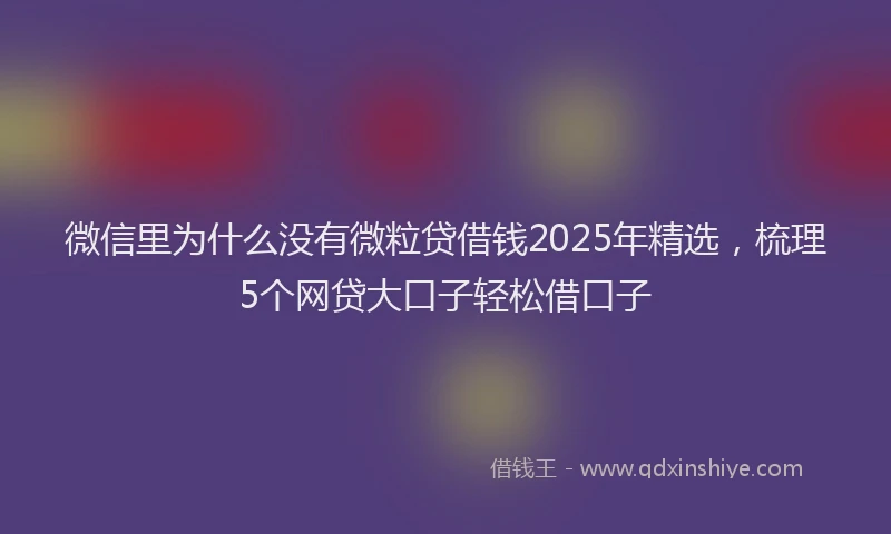 微信里为什么没有微粒贷借钱2025年精选，梳理5个网贷大口子轻松借口子