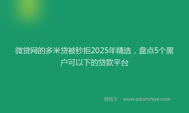 微贷网的多米贷被秒拒2025年精选，盘点5个黑户可以下的贷款平台