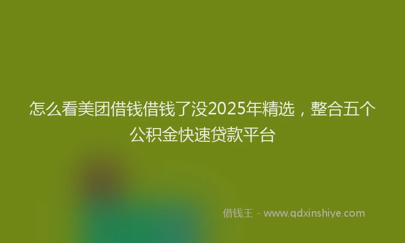 怎么看美团借钱借钱了没2025年精选，整合五个公积金快速贷款平台