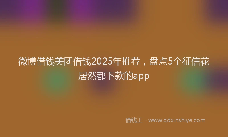 微博借钱美团借钱2025年推荐，盘点5个征信花居然都下款的app