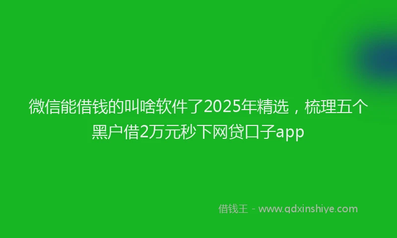微信能借钱的叫啥软件了2025年精选，梳理五个黑户借2万元秒下网贷口子app