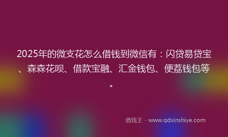 2025年的微支花怎么借钱到微信有：闪贷易贷宝、森森花呗、借款宝融、汇金钱包、便荔钱包等。