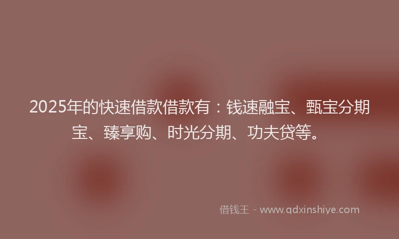 2025年的快速借款借款有：钱速融宝、甄宝分期宝、臻享购、时光分期、功夫贷等。