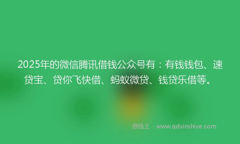 2025年的微信腾讯借钱公众号有：有钱钱包、速贷宝、贷你飞快借、蚂蚁微贷、钱贷乐借等。