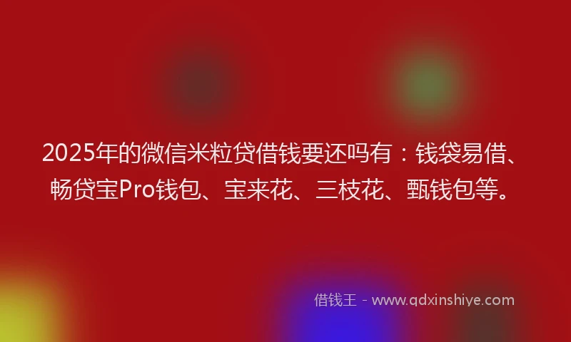 2025年的微信米粒贷借钱要还吗有：钱袋易借、畅贷宝Pro钱包、宝来花、三枝花、甄钱包等。