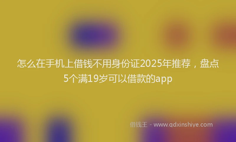 怎么在手机上借钱不用身份证2025年推荐，盘点5个满19岁可以借款的app