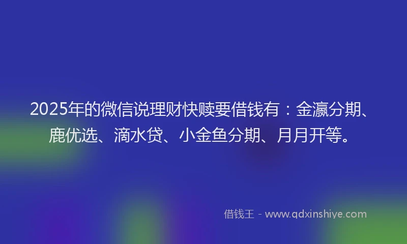 2025年的微信说理财快赎要借钱有：金瀛分期、鹿优选、滴水贷、小金鱼分期、月月开等。