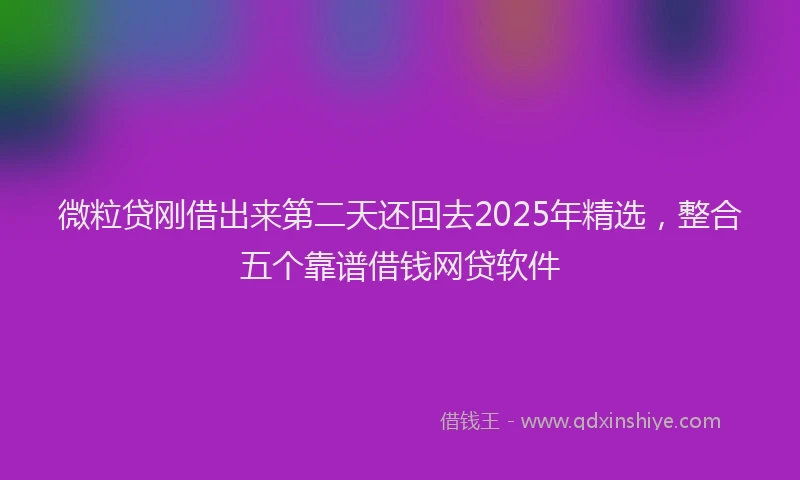 微粒贷刚借出来第二天还回去2025年精选，整合五个靠谱借钱网贷软件
