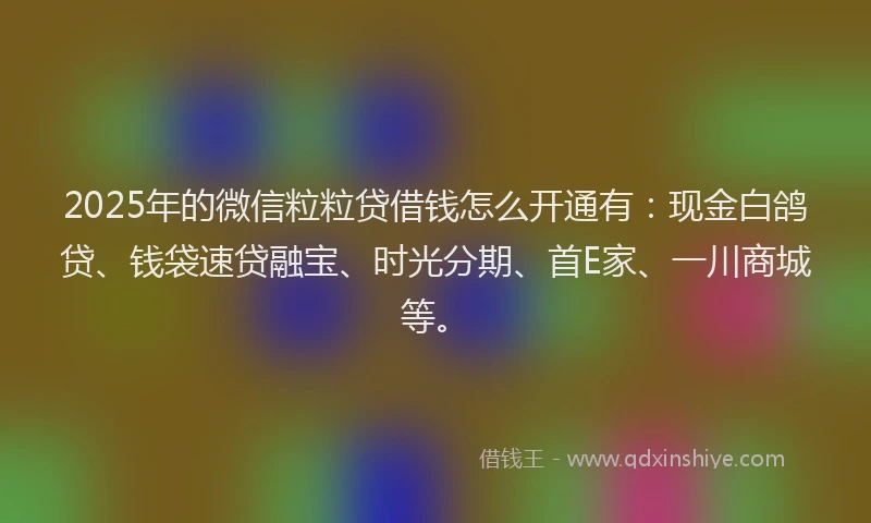 2025年的微信粒粒贷借钱怎么开通有：现金白鸽贷、钱袋速贷融宝、时光分期、首E家、一川商城等。