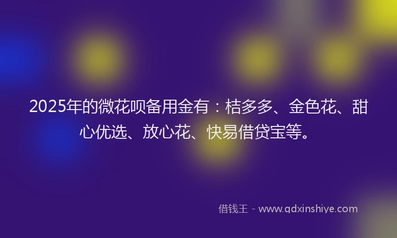 2025年的微花呗备用金有：桔多多、金色花、甜心优选、放心花、快易借贷宝等。